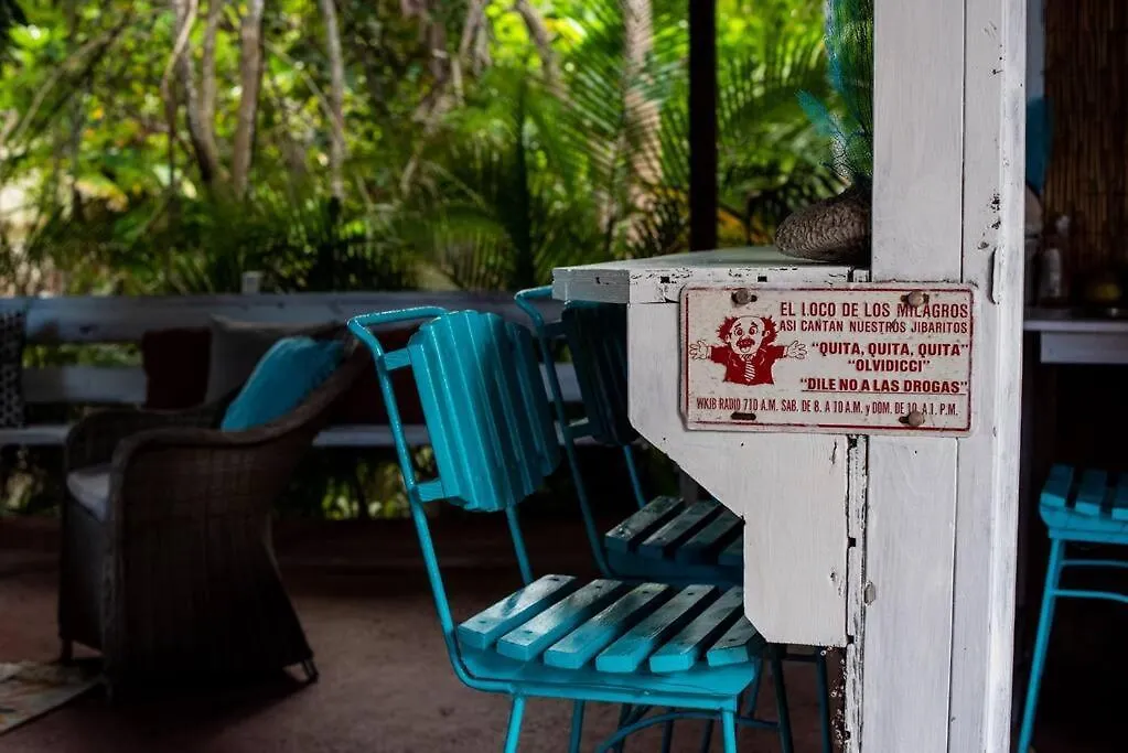 Casa Pina Suave #1 Apartment Rincon Puerto Rico